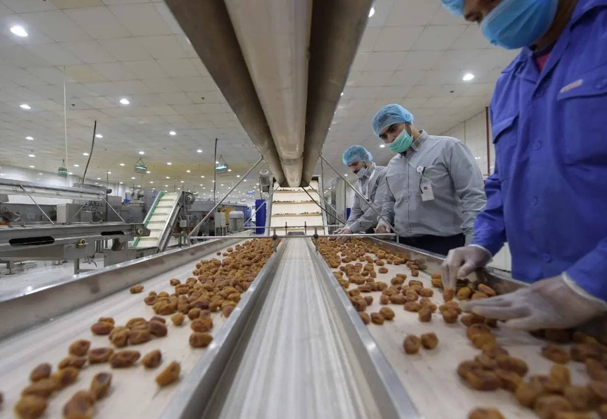 تطوير تقنيات إنتاج وتغليف التمور يسهم في رفع القيمة السوقية وزيادة الصادرات. المصدر: واس