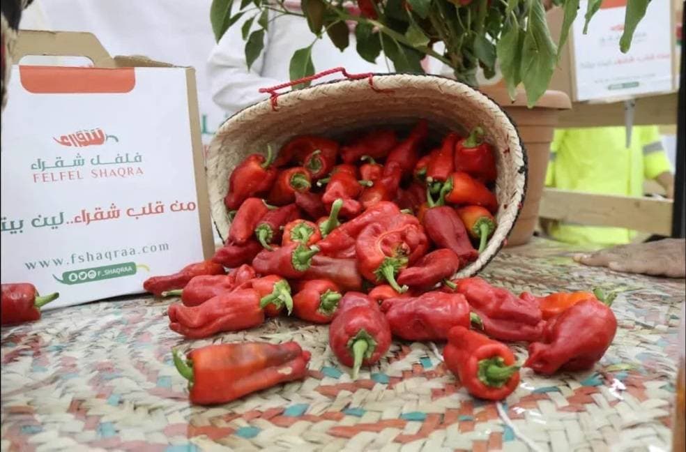 فعاليات «فلفل شقراء».. دعم للمزارعين وتعزيز الصناعات التحويلية