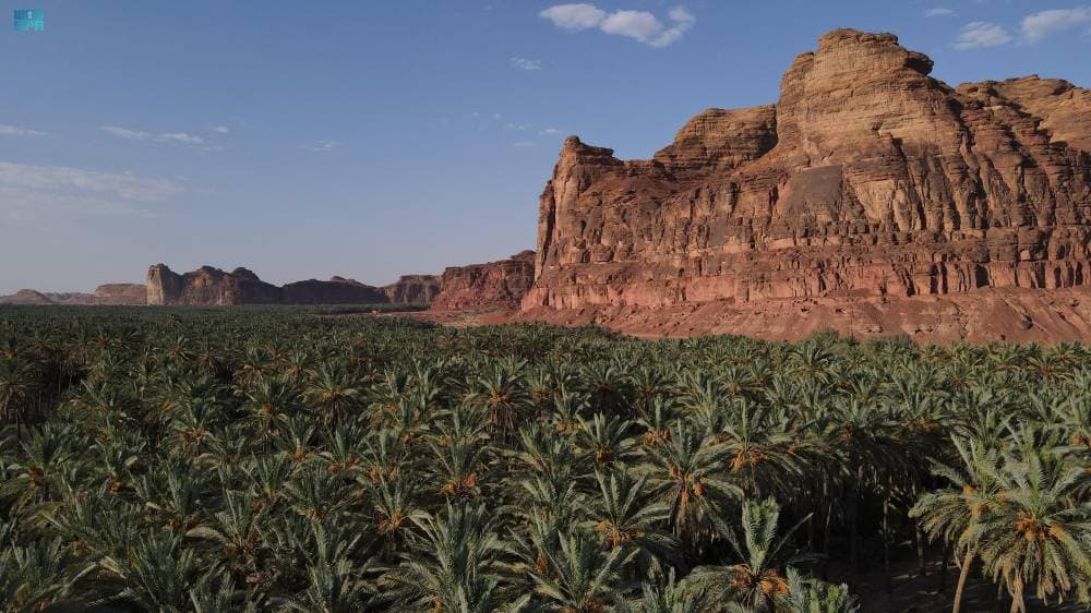 DST_2170344_6681039_33_3_2024091213381679