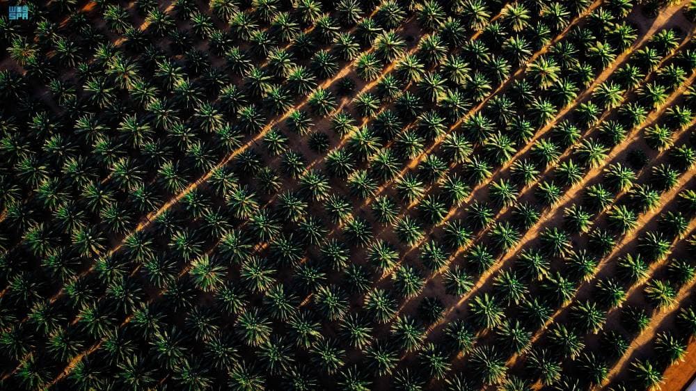 DST_2170344_6681038_33_3_2024091213381679