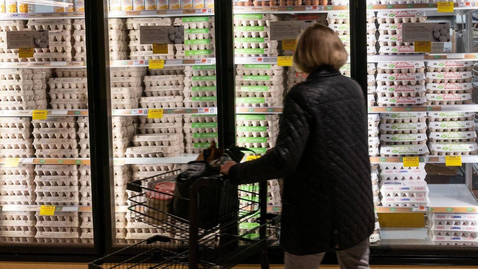 أسعار البيض .. شقوق في واجهة الرفاهية الاقتصادية للمستهلك الأمريكي