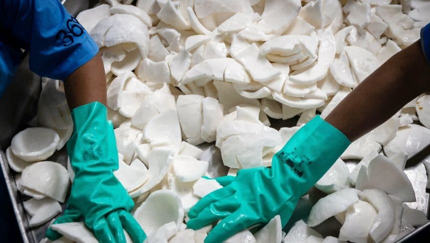 قفزة في أسعار جوز الهند وسط نقص المعروض والطقس السيئ