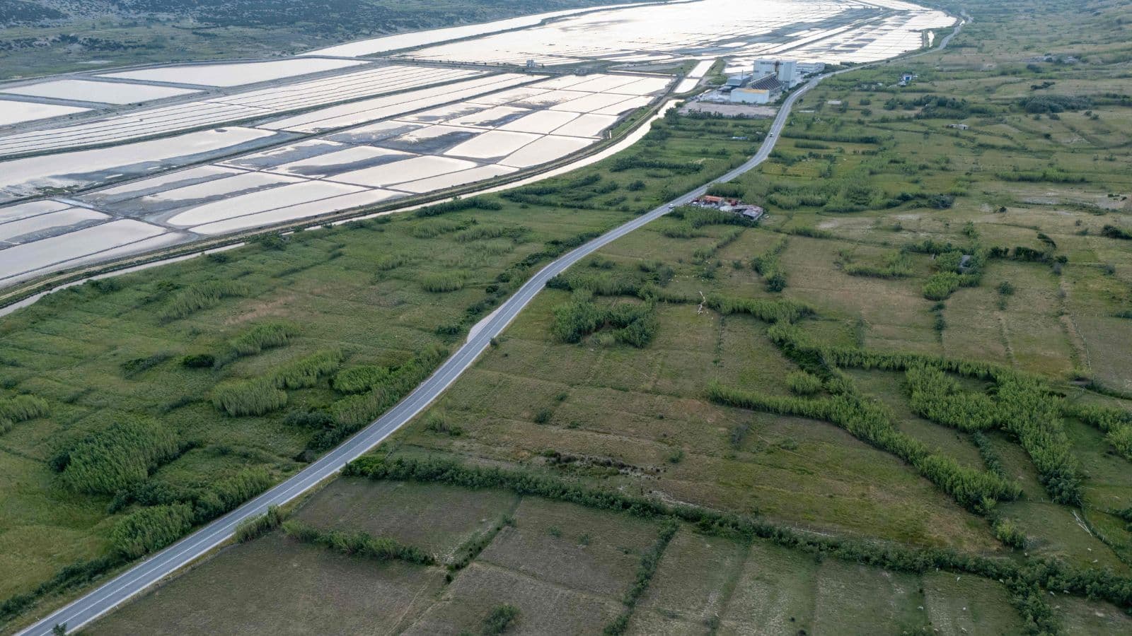 جبن "باسكا سيرانا"