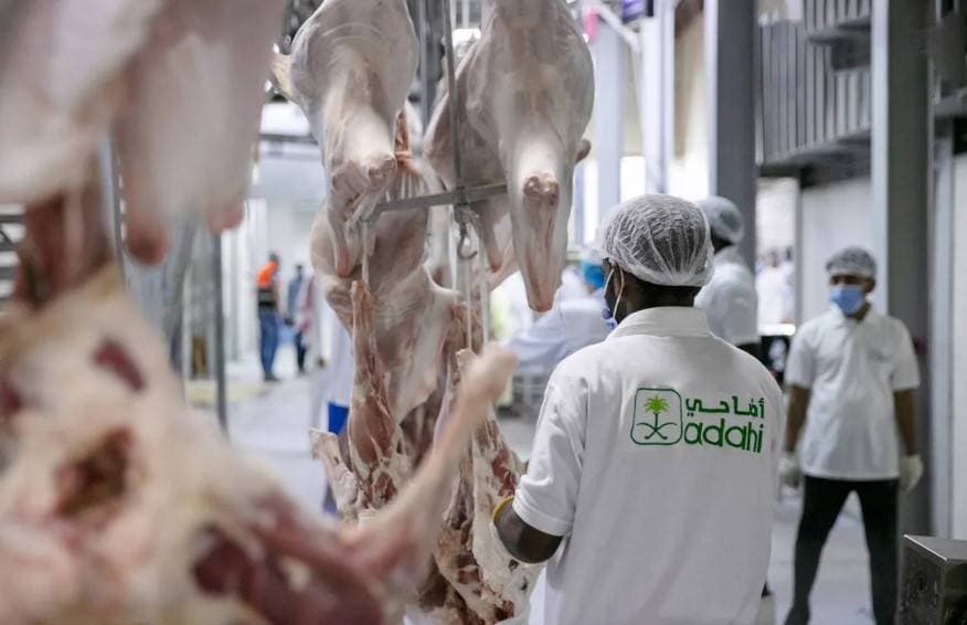منظومة رقمية للهدي والأضاحي في السعودية .. و7 مجمعات تستوعب مليون رأس من الأغنام