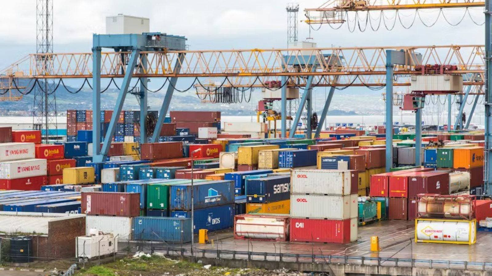 من الأرز إلى الخدمات الرقمية.. ما العقبات التي تعرقل مفاوضات التجارة في إدارة ترمب؟