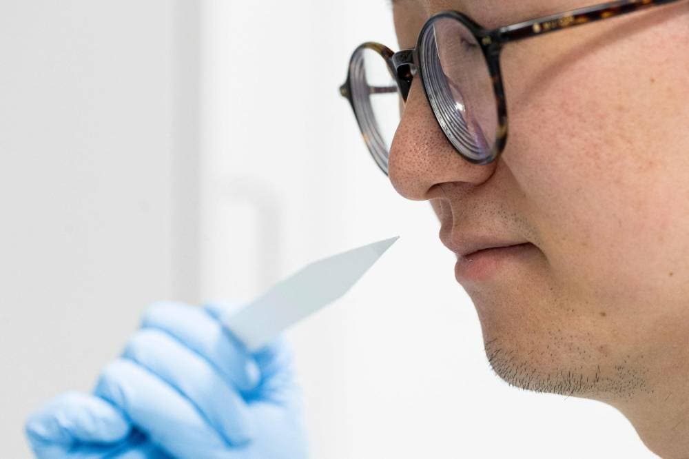 ما علاقة حاسة الشم بمصير ملايين السلع وكيف ترفع إيرادات الشركات؟