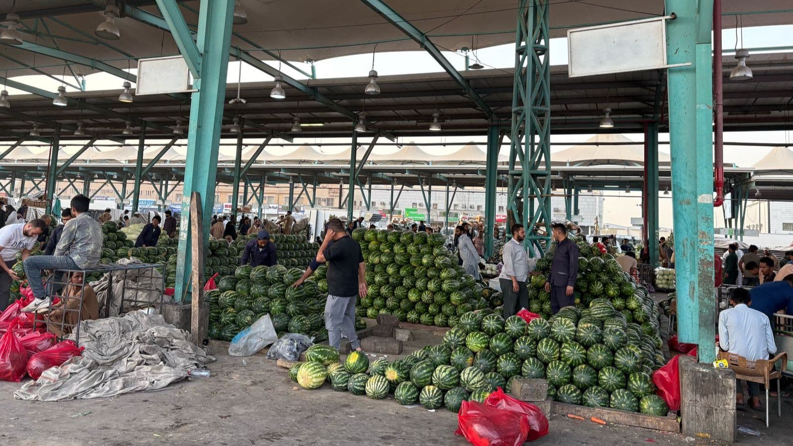 "حصاد مر" لموسم الحبحب في السعودية على وقع اضطرابات بيئية وموجات برد متقطعة