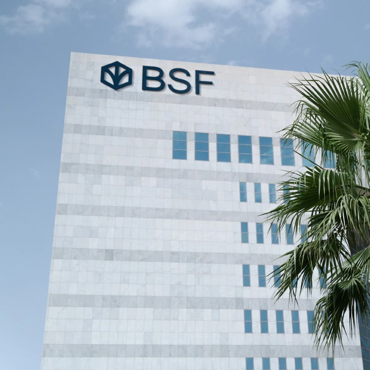 "BSF" يحقق صافي ربح قدره 4.1 مليار ريال خلال التسعة أشهر الأولى من 2025