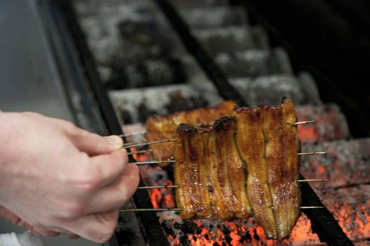 حروب "الأنقليس".. صراع دولي حول حماية أسماك المياه العذبة