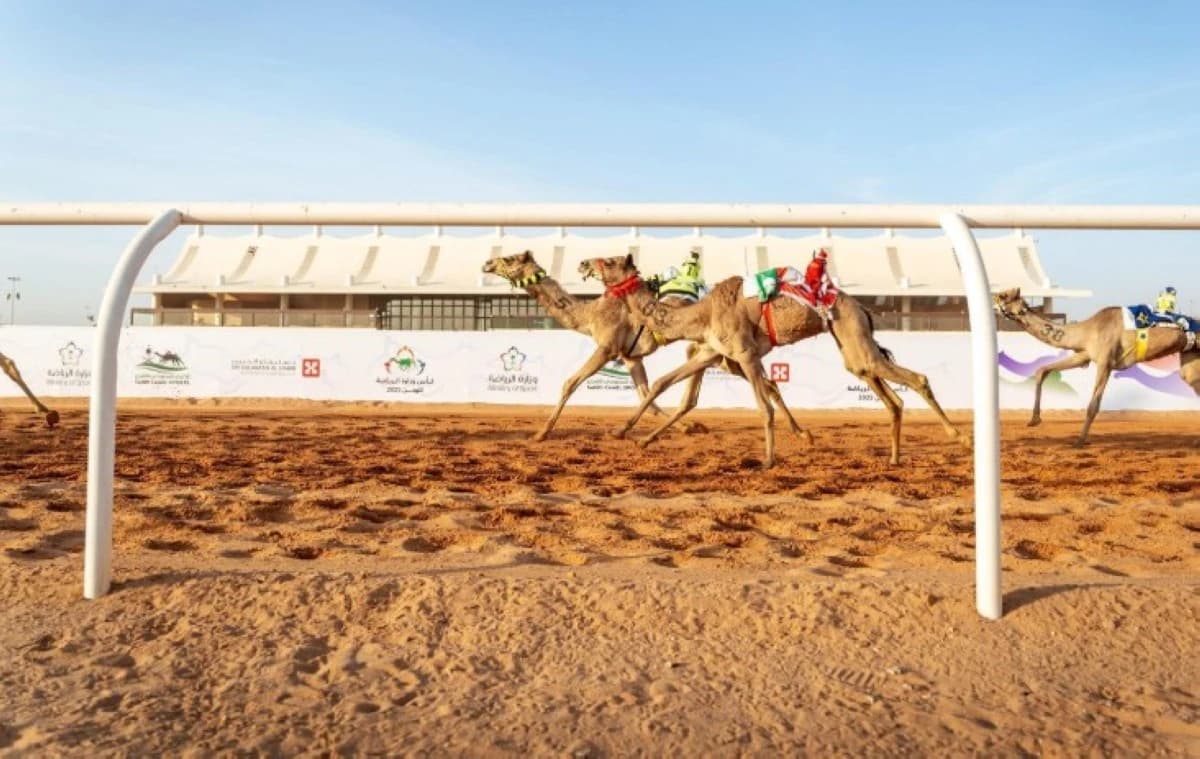 كيف أصبحت الهجن السعودية أيقونة عالمية في 2025؟