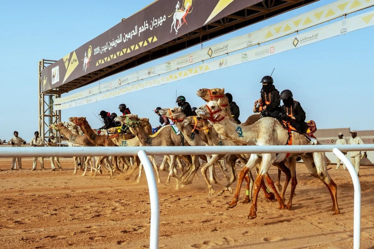 غدا الفصل الأخير من مهرجان خادم الحرمين للهجن بجوائز 75 مليون ريال