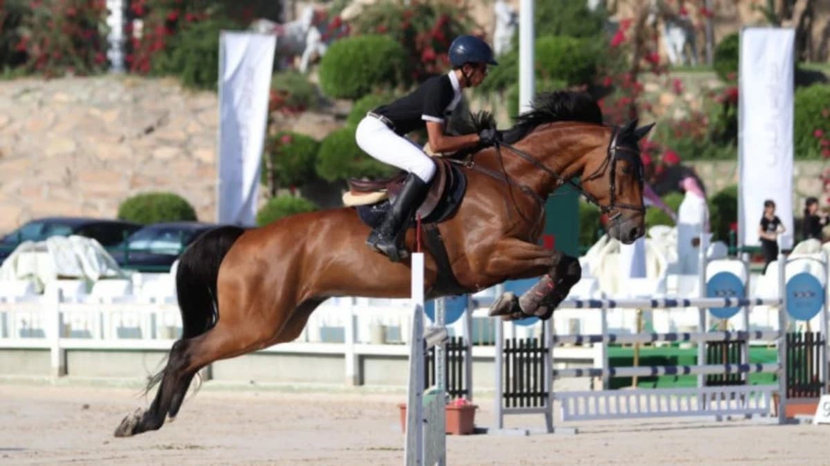 "التعليم" تطلق فرصا رياضية استثمارية تصل إلى 497 ألف ريال سنويا