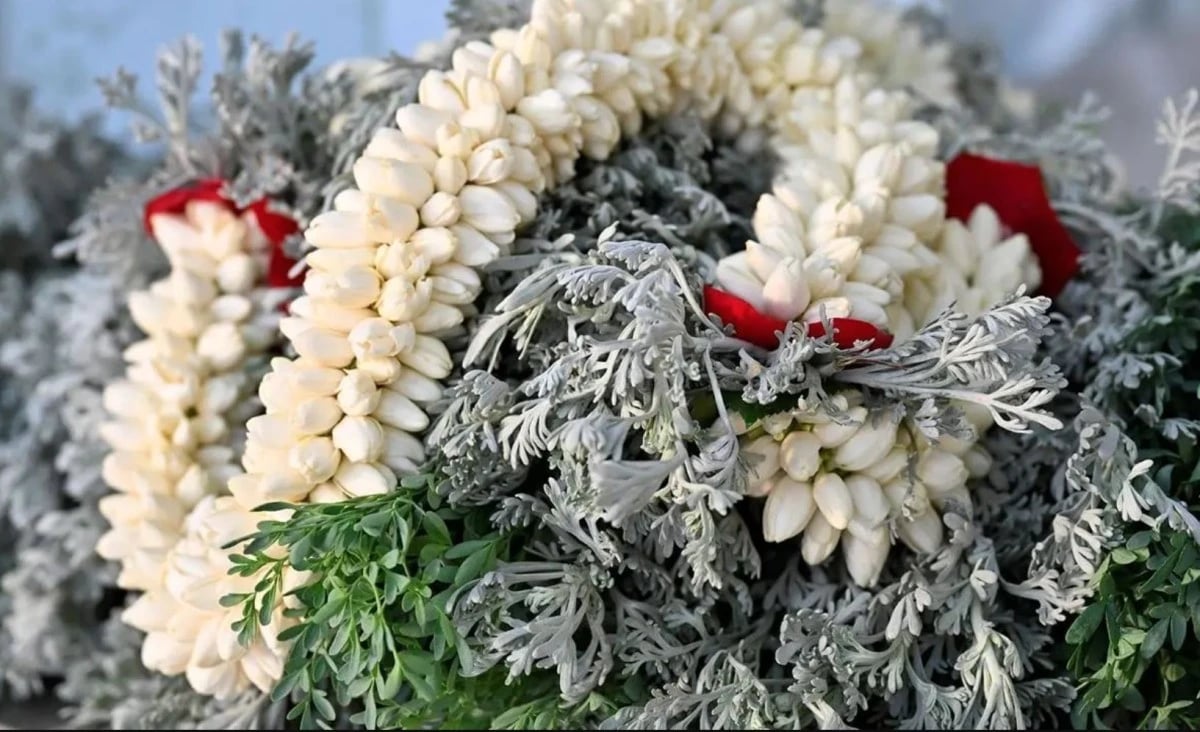 اكتمال مشاريع مدن الورد في جازان بإنتاج سنوي 713 ألف كيلوجرام