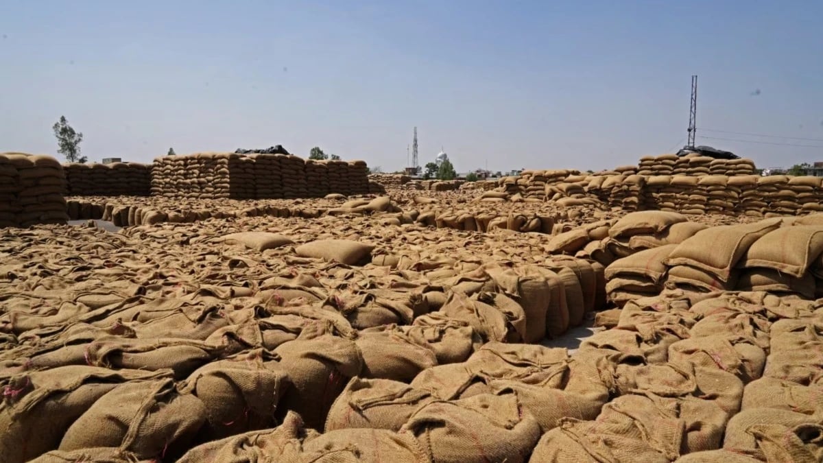 الفاو : أسعار الغذاء العالمية قد ترتفع أكثر إذا استمرت حرب إيران