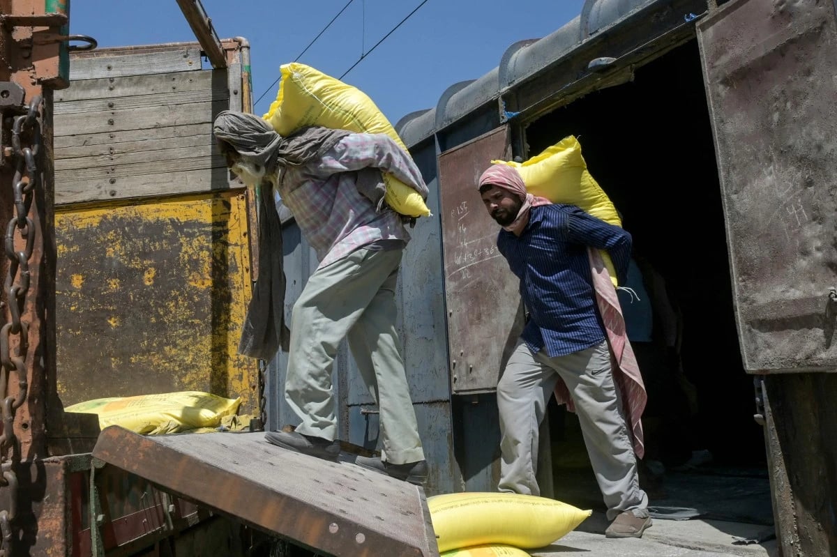 "فاو" لـ"الاقتصادية": الدول الأفقر عُرضة لخطر ندرة الأسمدة بسبب هرمز
