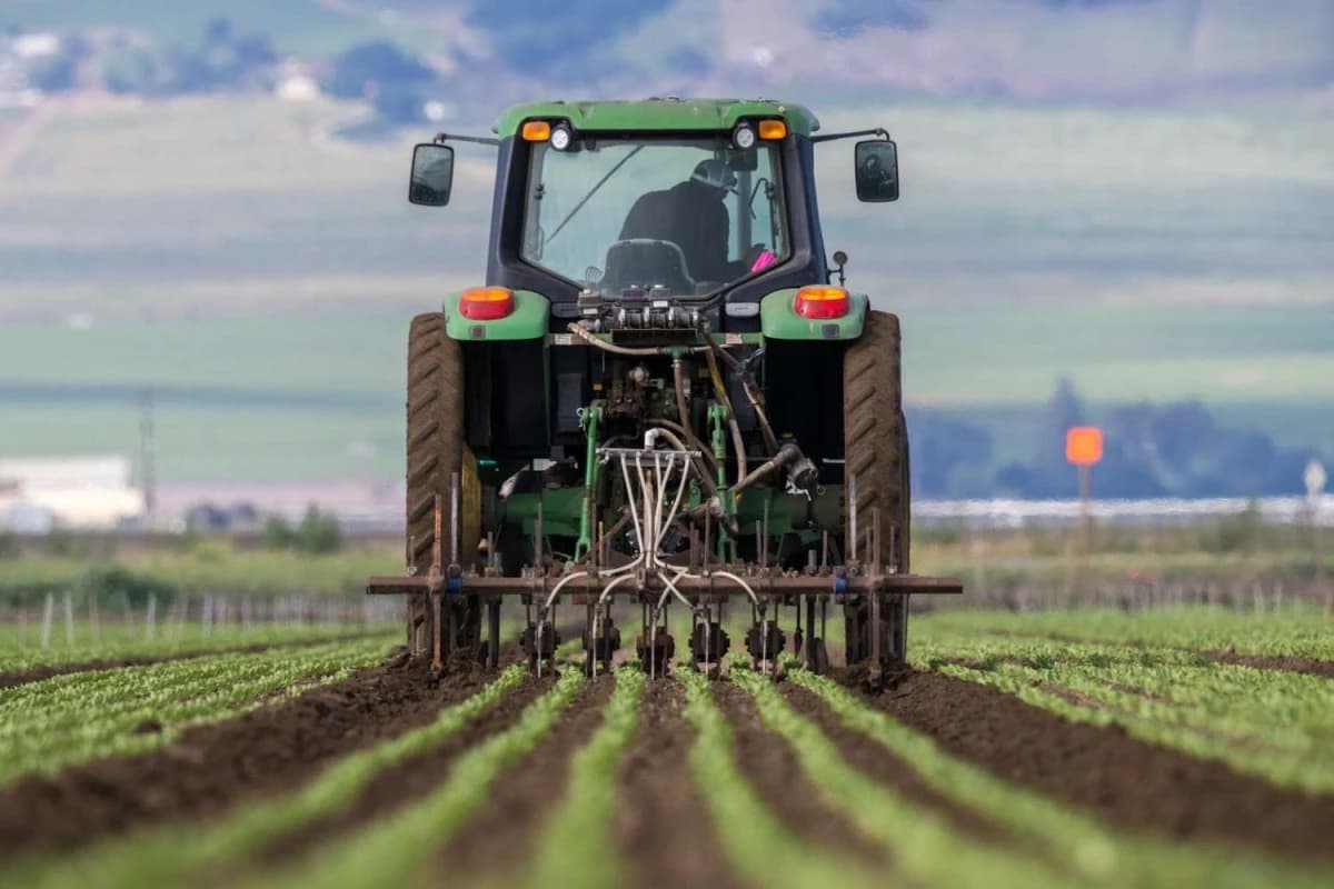 أسعار الأسمدة بعد الحرب تثير مخاوف تكاليف الغذاء والاقتصاد الزراعي الأمريكي