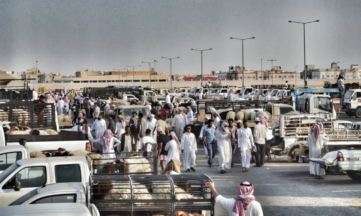 السعودية تستورد مواشي بـ20 مليار ريال في 5 أعوام نصفها من السودان