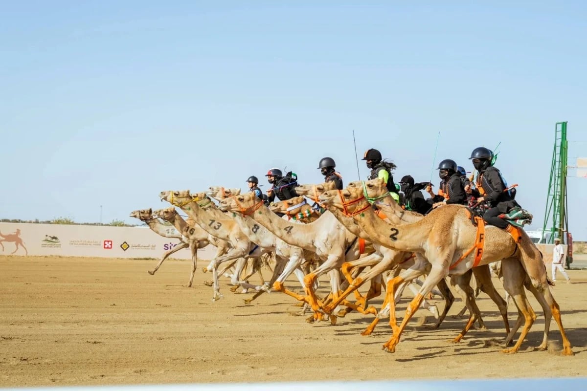 "الهجن" يعلن بدء التسجيل في أشواط مهرجان ولي العهد 2026