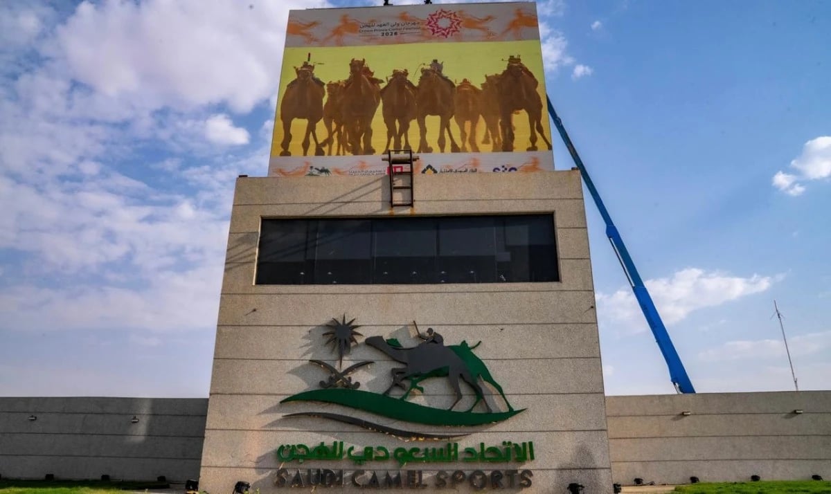 مهرجان ولي العهد للهجن ينطلق بـ248 شوطا وجوائز تتجاوز 50 مليونا