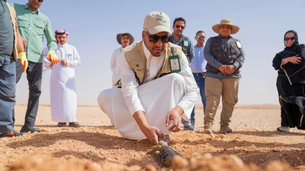 إطلاق أكثر من 140 ضبًا في محمية الملك خالد الملكية