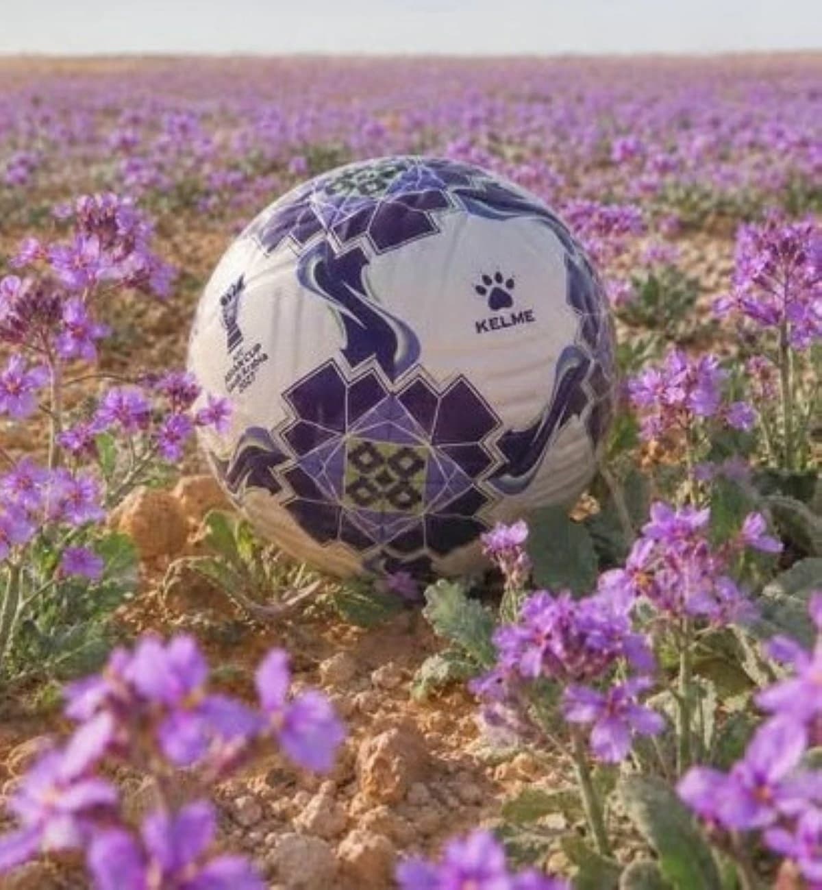 "خزامى" .. كرة كأس آسيا 2027 في السعودية