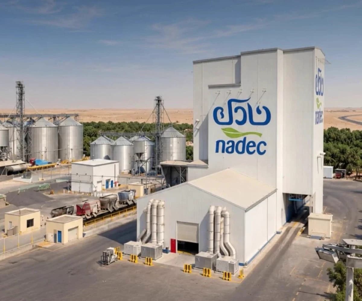 "نادك" تخفض سقف تمويل "الراعي للمواشي" إلى 750 مليون ريال