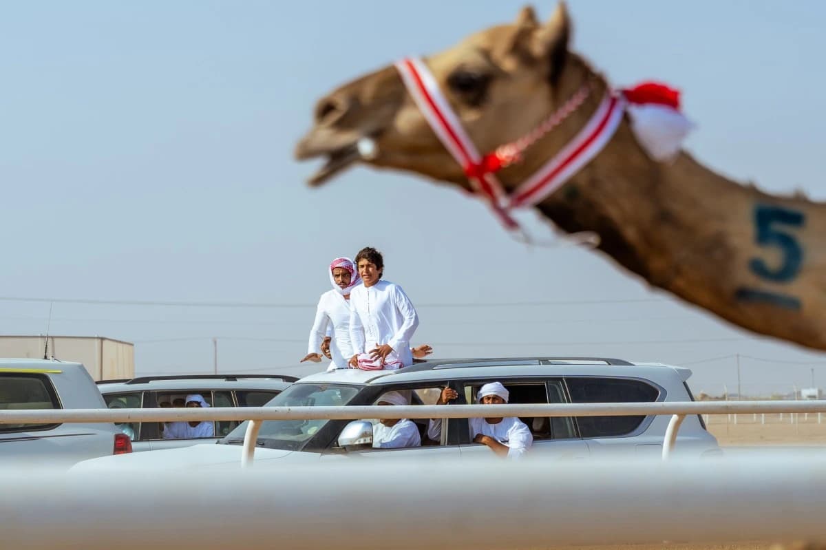 غداً .. إغلاق التسجيل في كأس الأولمبية للهجن