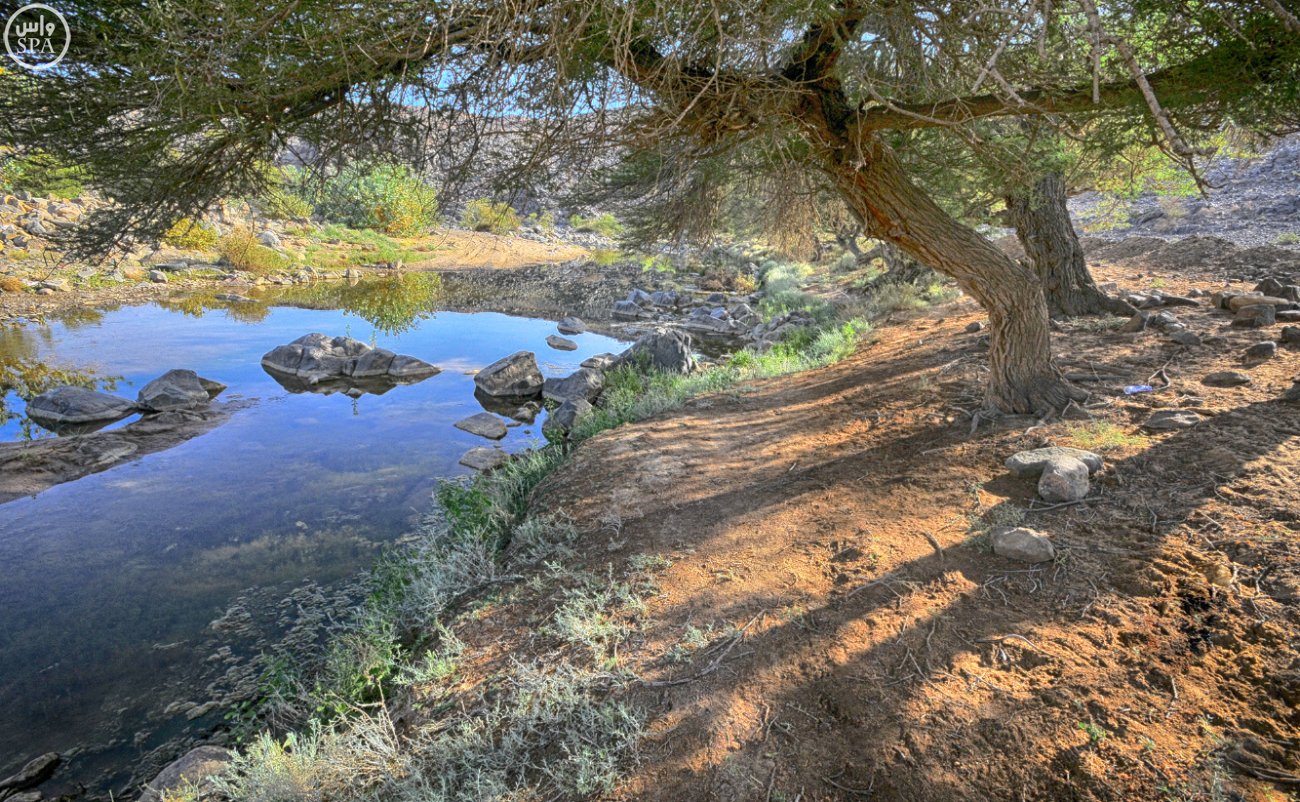 بدر الجنوب.. محافظة الغيم وأودية السدر الخضراء