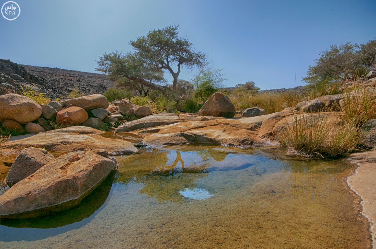 بدر الجنوب.. محافظة الغيم وأودية السدر الخضراء