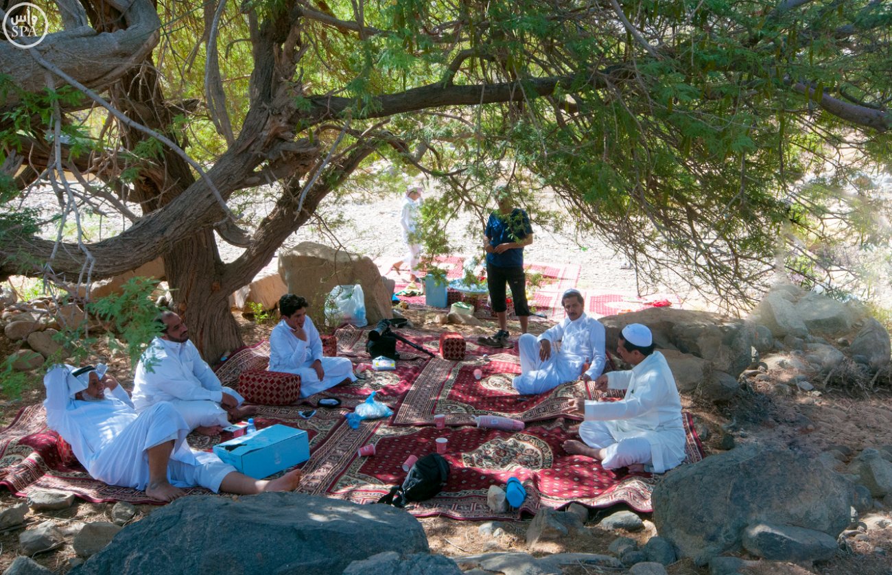بدر الجنوب.. محافظة الغيم وأودية السدر الخضراء