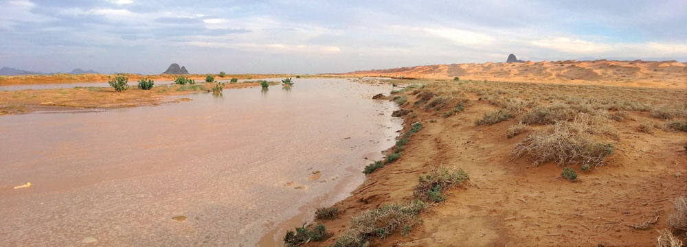 بدءا من الغد .. طقس ماطر شديد البرودة على بعض مناطق السعودية