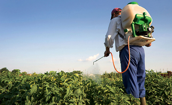 علماء يدحضون إعلان منظمة الصحة بشأن خطورة مبيد للحشائش