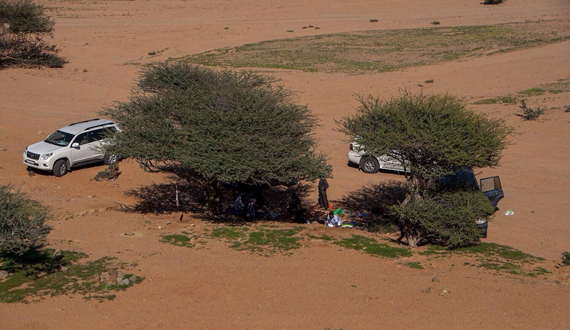 محافظة الوجه .. وجهة الباحثين عن الدفء في فصل الشتاء