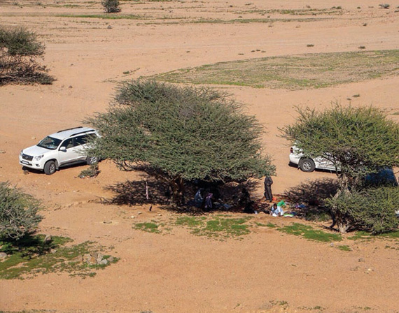 «الوجه» .. ملتقى الباحثين عن الدفء خلال الشتاء
