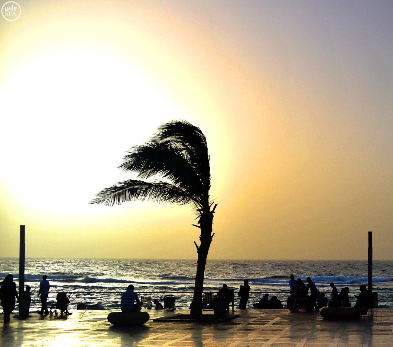 أجواء جدة الربيعية تغري المصطافين وتحقق أشغالاً فندقية تصل لـ 90%