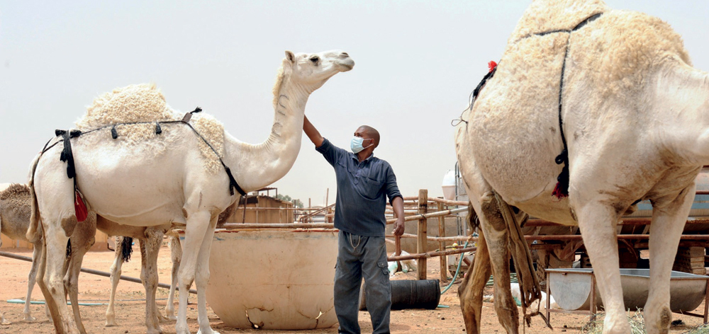 «الصحة» تتوقع ارتفاع الإصابات بـ «كورونا» الفترة المقبلة