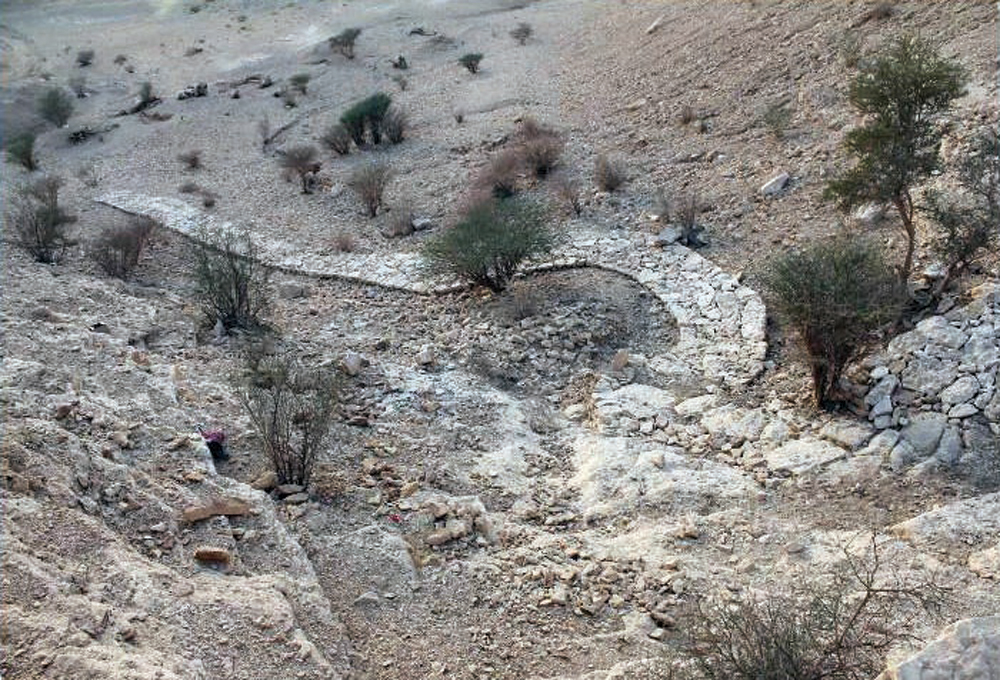 درب عجلان وهجينية المؤسس