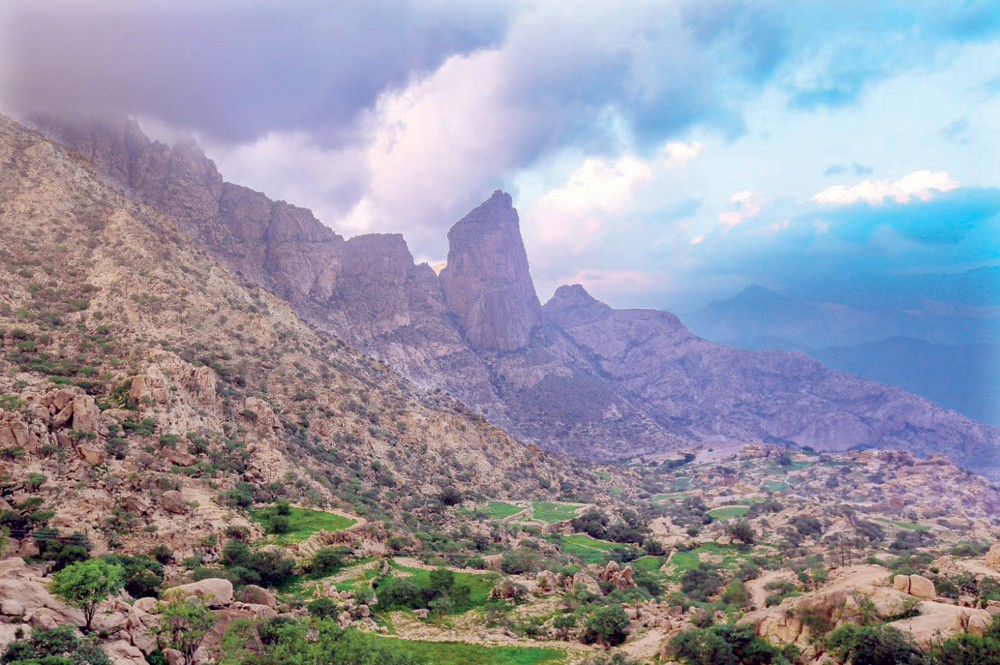 «البُن الشدوي» .. قهوة بمذاق الطبيعة