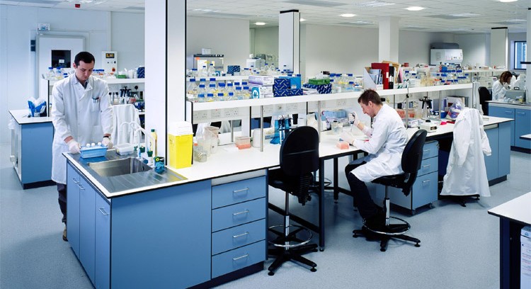 كائن تخليقي أولي بسيط يسلط الضوء على طبيعة الحياة