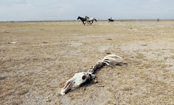 2050 .. عام اختفاء المياه من الأرض
