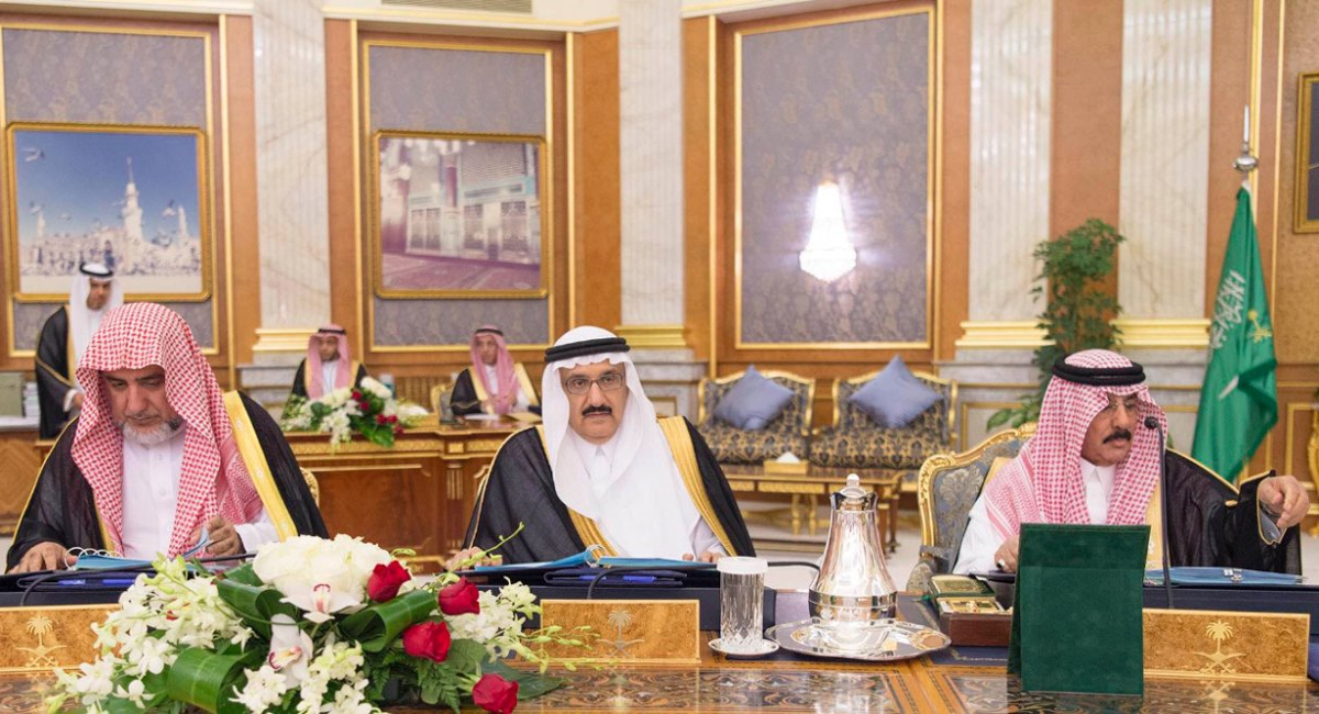 مجلس الوزراء: تقديم حليب الأطفال مجاناً لمدة 24 شهراً للرضع المحتاجين