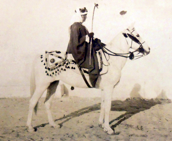 الحرية في الصحراء.. لا مع اللوردات والباشوات