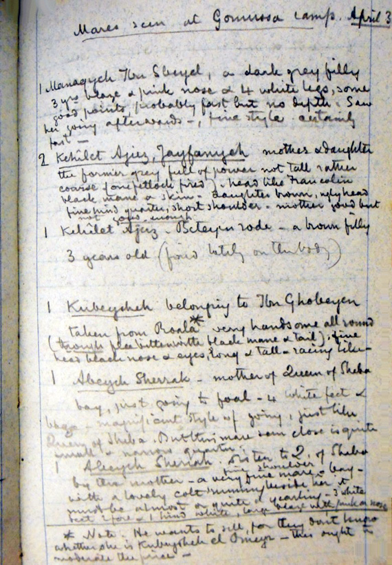 الحرية في الصحراء.. لا مع اللوردات والباشوات