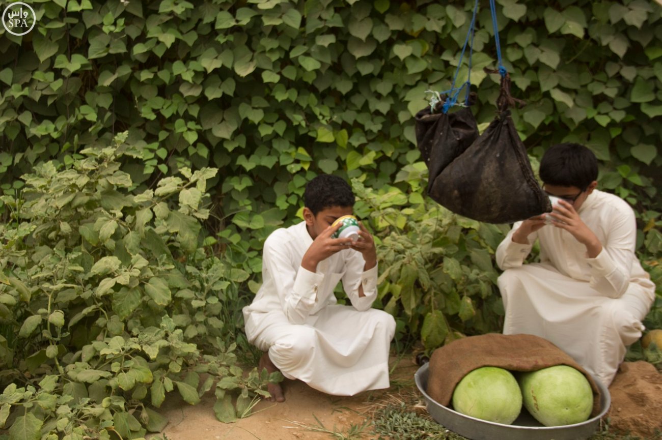 " القربة " و " الزير " تطفئ عطش الصيف في وادي الدواسر