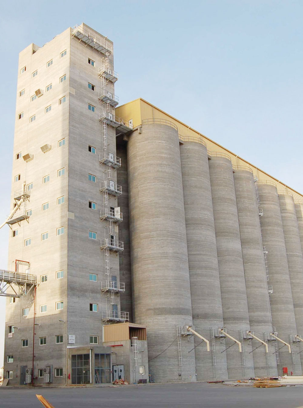 «الحبوب»: تعيين مجالس إدارات شركات مطاحن الدقيق الجديدة خلال شهرين