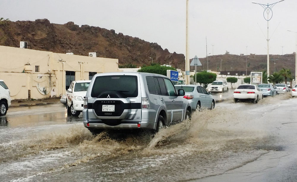 5 طائرات رش لمكافحة بعوض «حمى الوادي المتصدع» جراء أمطار جدة وجازان