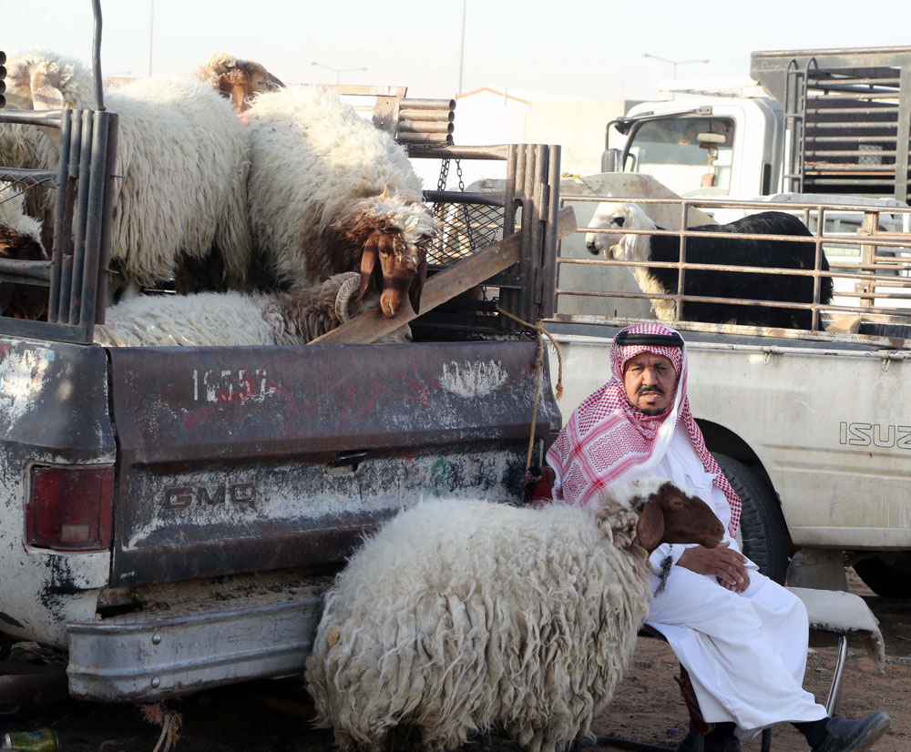 أحد مربي المواشي في السوق في انتظار المشترين في الرياض أمس.تصوير :بشير صالح ـــ«الاقتصادية»