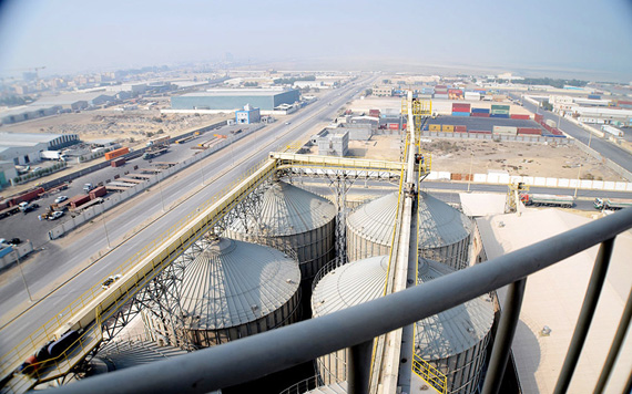 مطالب بإعادة النظر في أسعار الأعلاف المصنعة والمستوردة.