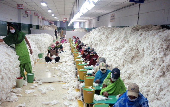 "ولسبن إنديا" الهندية تبيع منتجات قطنية منسوبة زورا للمنتج المصري المعروف بجودته. 