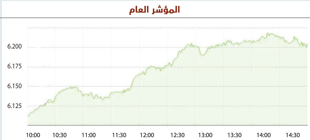 نمو السيولة 56 % يقود الأسهم السعودية لتحقيق أفضل أداء في 4 أشهر